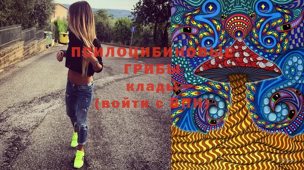 дурь Покровск